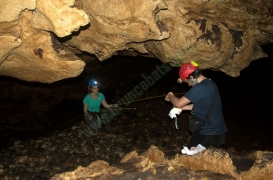 Alma & Coredores Caves