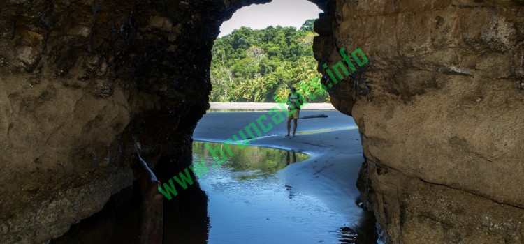 Murciélagos en vacaciones – Cueva marina de Playa Arco